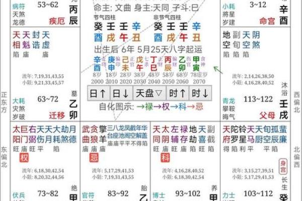 掌握元真排盘技巧，轻松预测未来运势