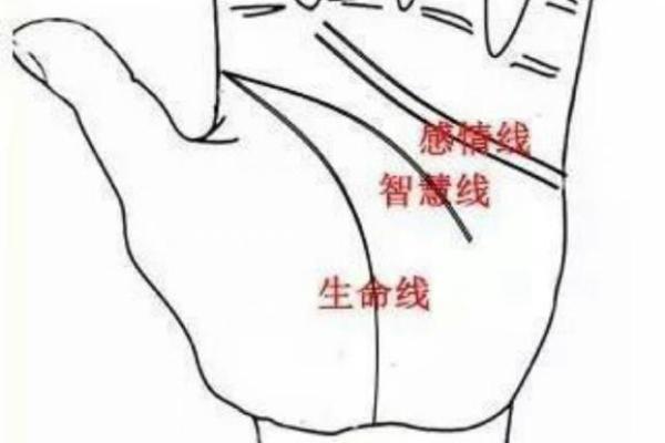 手相揭秘：感情线上的神秘痣，预示着怎样的命运？