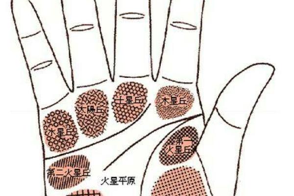 女富豪手相揭秘：这些神秘特征，你占了几条？