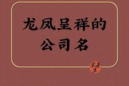 大气公司起名秘籍，提升品牌影响力