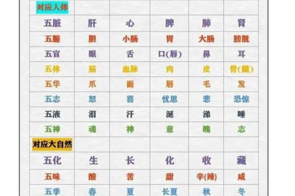 会五行的命运归属是什么？五行知识全解析