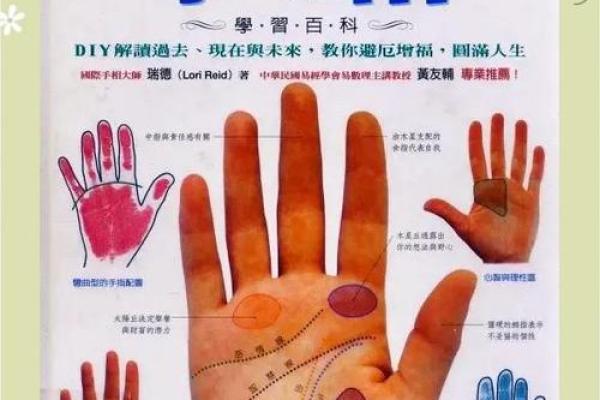 手相奥秘一招解锁，入门必备手相预测学磁力秘籍