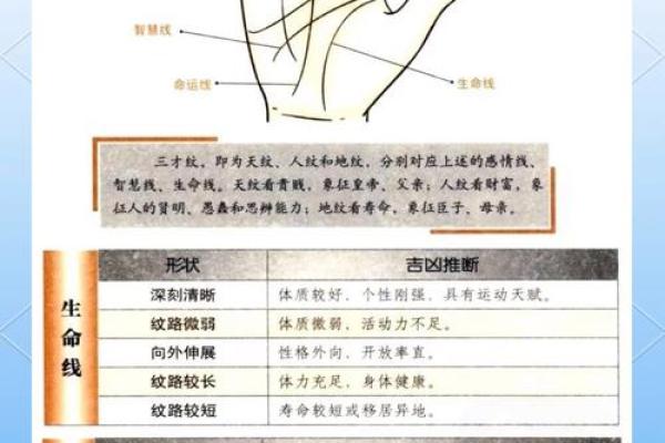 手相奥秘一招解锁，入门必备手相预测学磁力秘籍