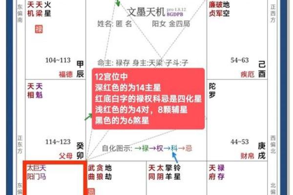 紫薇星斗数排盘免费解析：掌握命运的秘密