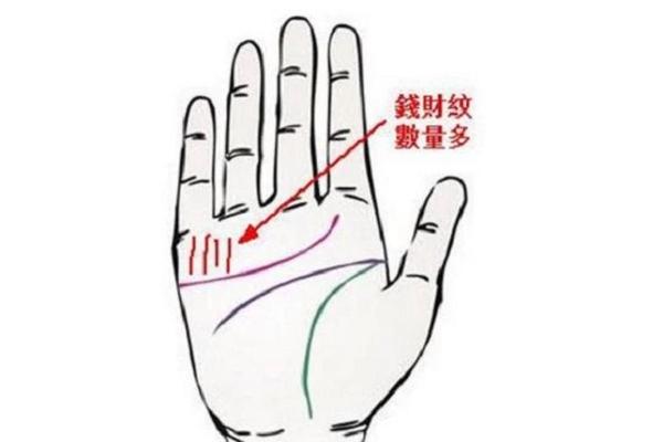 揭秘手相奥秘：木星丘发达隆起，财运亨通的秘密