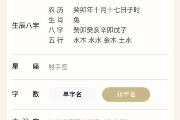 解锁公司命名秘籍，生辰八字起名软件带你走向成功