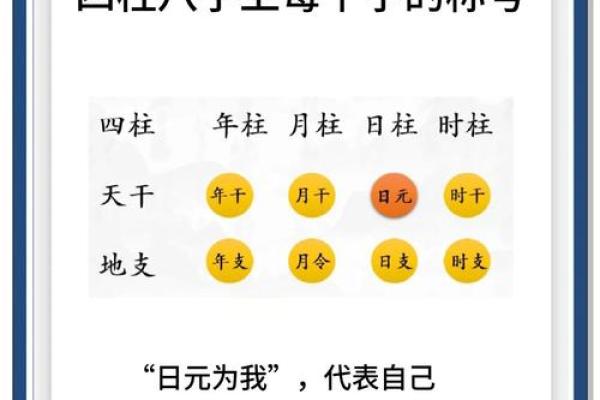 掌握八字排盘每行的奥秘，揭开命运的真相