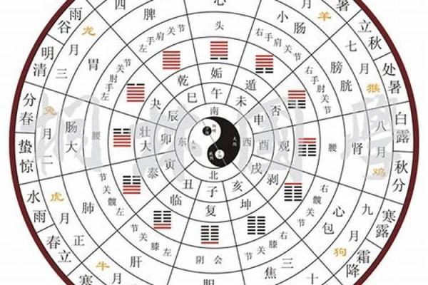 天干地支算时辰，揭示你未来的命运走向