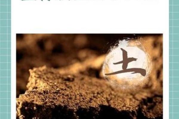 五行土属性公司名称大全