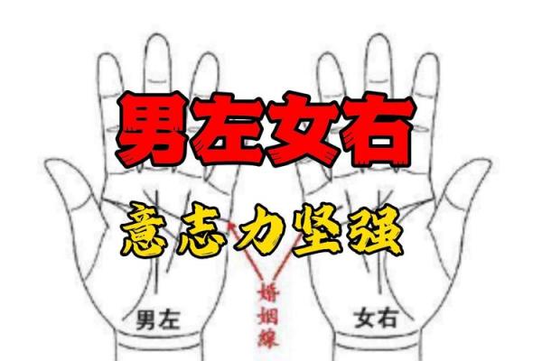揭秘男性手相：生育能力一看便知，你命中注定多子多福吗？