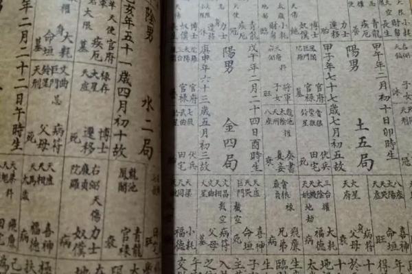 紫薇排盘揭秘：你的星座与命运如何交织？