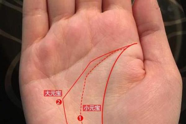 手相解密：揭秘看手相竟可能折寿，惊呆众人