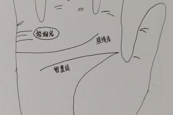 揭秘手相奥秘：男人手相子女看，掌握运势密码