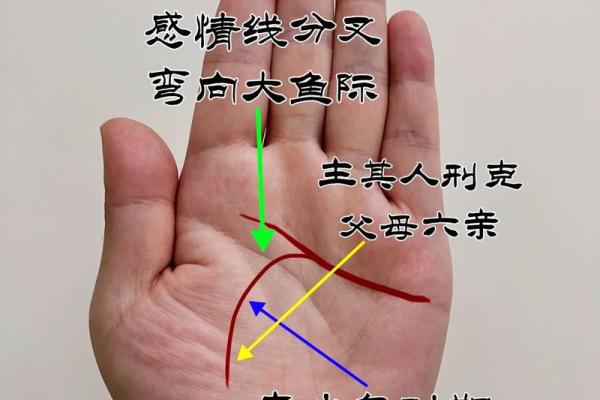 川字形手相女人：揭秘财运亨通的秘密