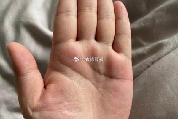 川字形手相女人：揭秘财运亨通的秘密