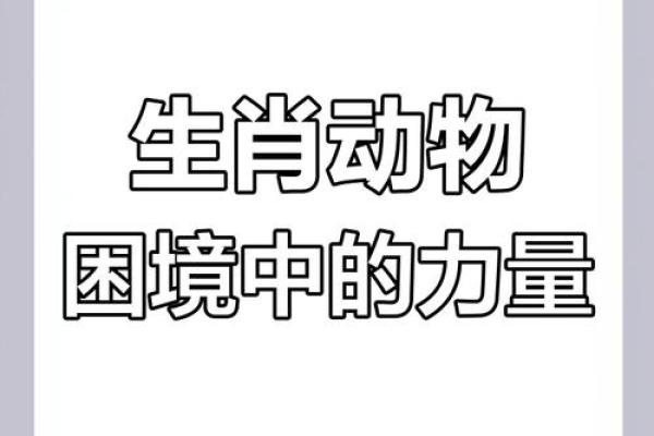 一寸生肖揭秘：揭秘生肖中的神秘力量