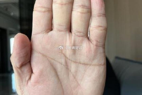 手心暗藏乾坤：揭秘未成形父子眼手相的惊人秘密