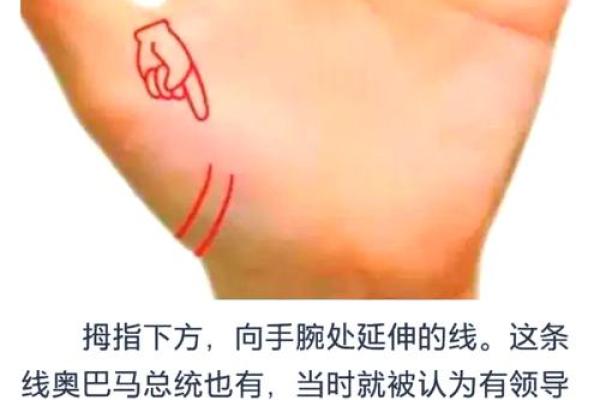 手相揭秘：一招教你精准判断怀孕