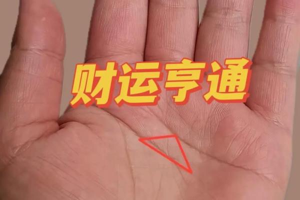 手相中的秘密：仙居仙人揭秘人生命运密码