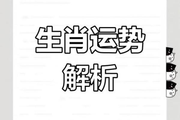 十二生肖大揭秘：没错生肖，揭秘生肖运势