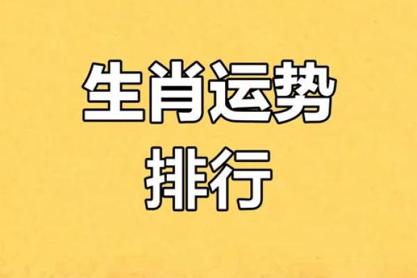 十二生肖大揭秘：没错生肖，揭秘生肖运势