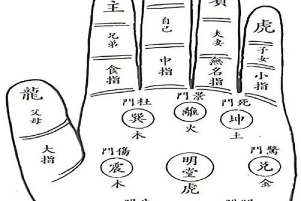 揭秘手相之谜：靠谱手相解读，让你一眼看透命运
