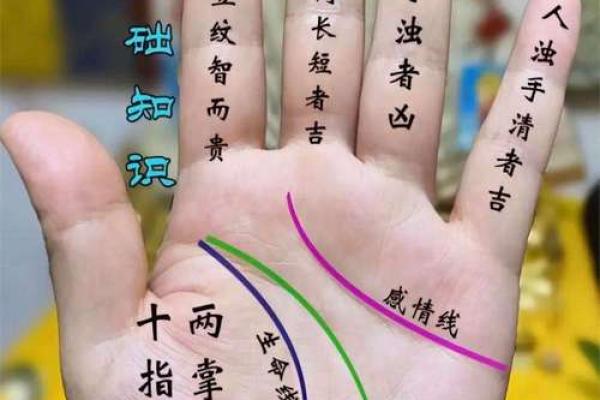 揭秘手相之谜：靠谱手相解读，让你一眼看透命运