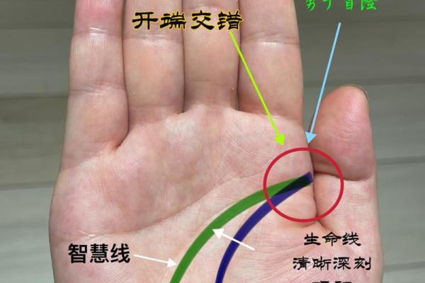 揭秘命运之手：手相解读，掌握你的运势密码