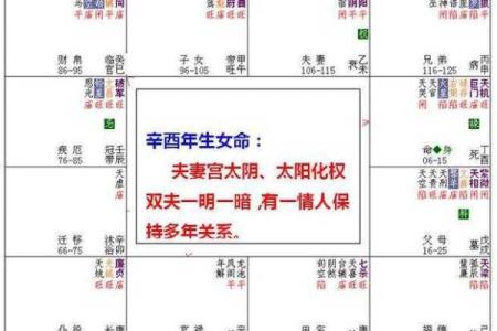 紫微命盘排盘全解析，掌握命运的关键步骤