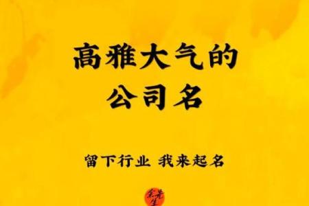 最火的公司起名趋势，助你脱颖而出