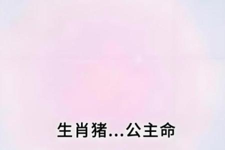 穷打一生，生肖见证传奇