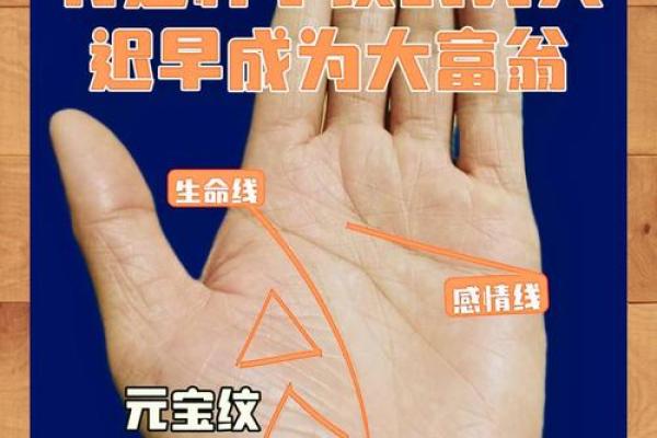 揭秘手相奥秘：揭秘老年运势，看手相如何预示晚年幸福