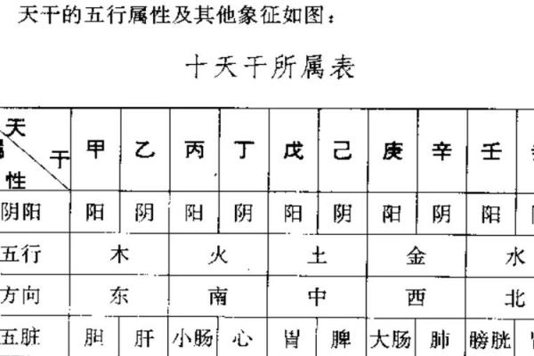探索天干地支背后的神秘力量