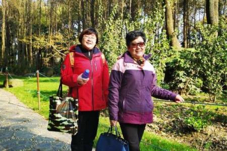 苗圃公司取名技巧：从名字到成功的每一步