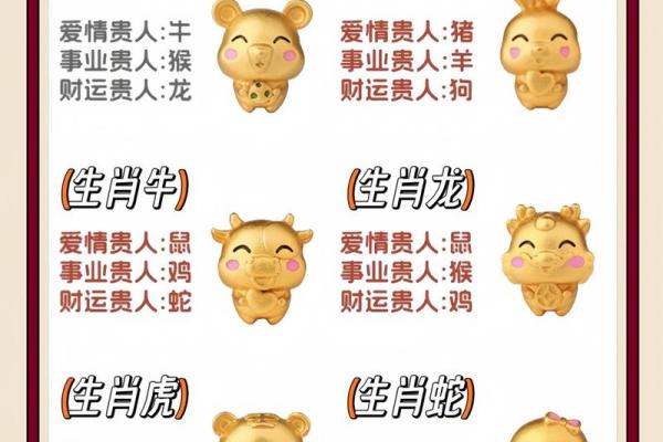 生肖险：揭秘12生肖中的高风险生肖