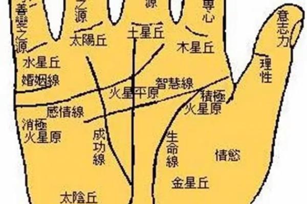 揭秘手相奥秘：男人女人手相图解大全，轻松读懂命运密码