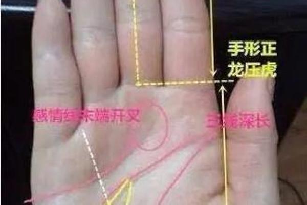 手相揭秘：富贵命手相，揭秘你的财运人生