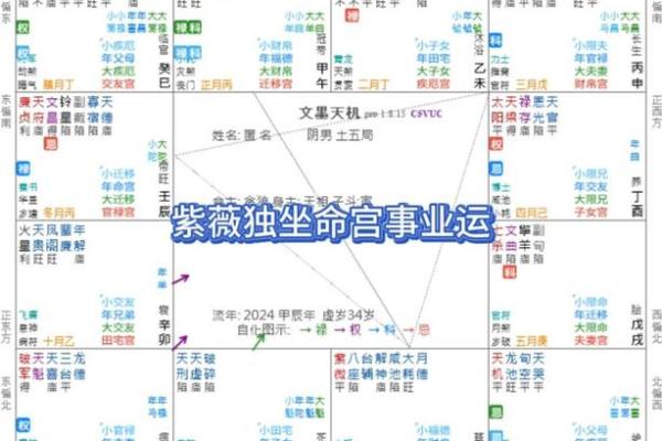 紫微排盘与生辰八字深度解析：命运之钥如何开启
