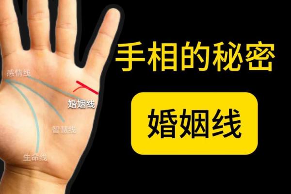 揭秘：一年之内，如何轻松看透三次手相的秘密