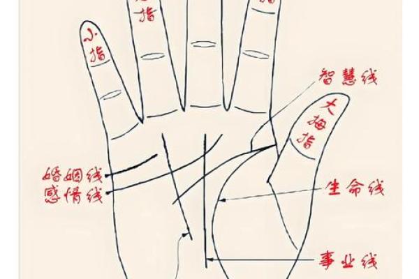 揭秘：一年之内，如何轻松看透三次手相的秘密