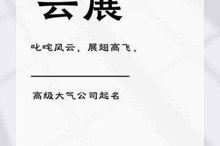 公司起名大师软件：让你的公司名字脱颖而出