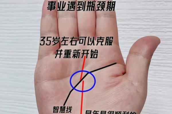 智慧无限，直指成功：揭秘手相智慧线过长直的秘密