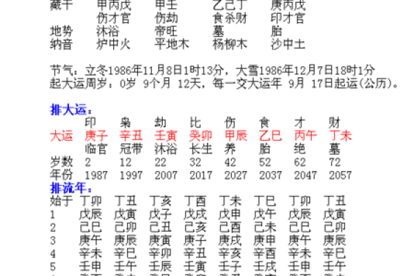 发现隐藏的命运规律，精准八字排盘系统助你掌握人生走向