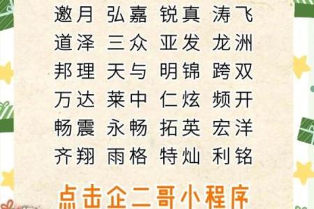 独特教育培训公司名字，激发你的创意灵感