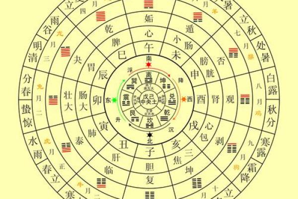 为什么了解八字五行是你改变命运的关键？