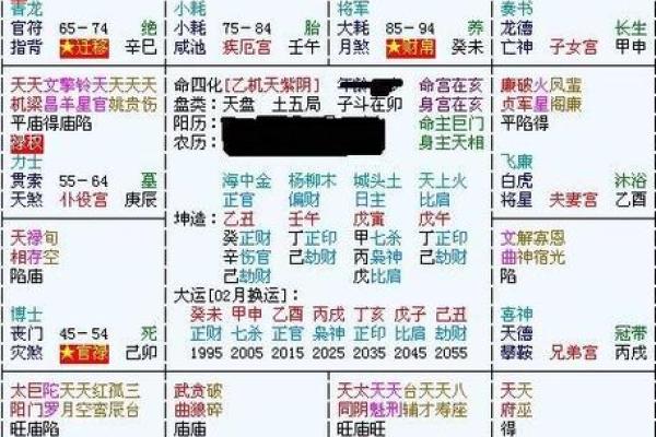 紫薇排盘神器推荐：最精准的紫薇命理分析工具