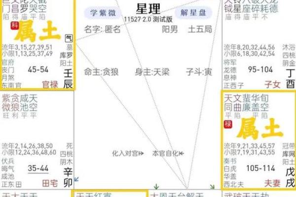 紫薇排盘神器推荐：最精准的紫薇命理分析工具