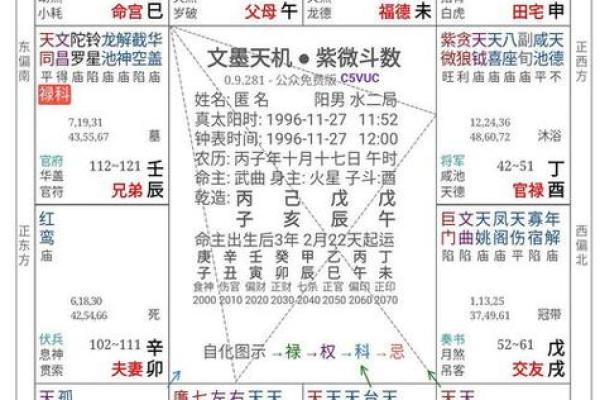 八字排命盘软件大揭秘，精准分析你的命运走势