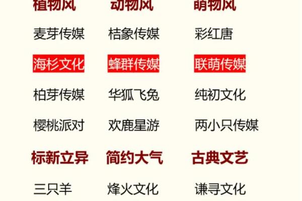 广州起名公司哪个好？权威推荐！