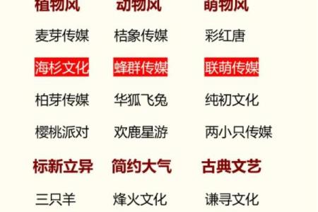 广州起名公司哪个好？权威推荐！